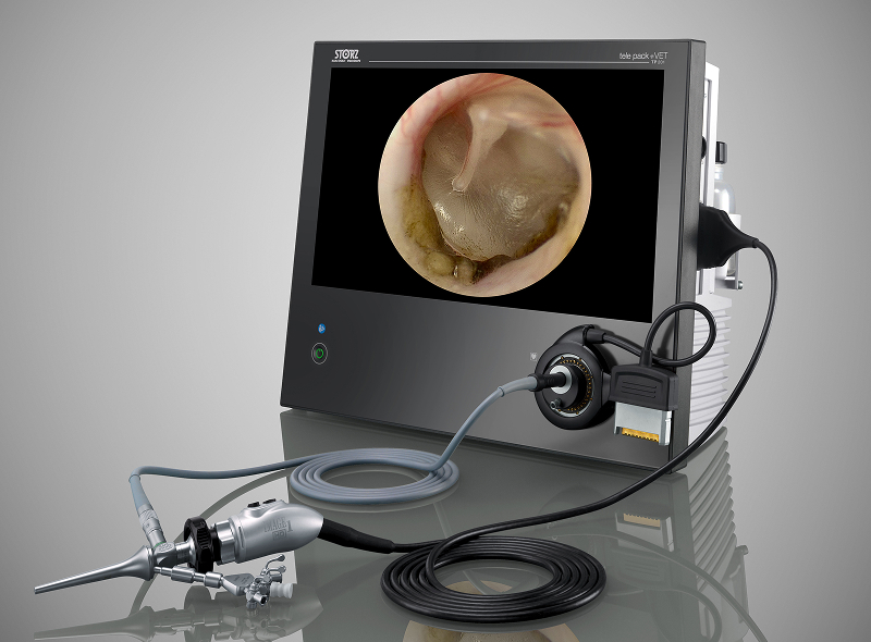 耳内視鏡(オトスコープ)